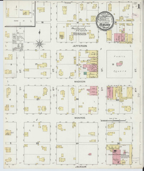 Auburn Illinois 1894 - Fire Insurance Index - Old Map Reprint