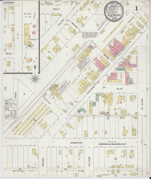Blue Mound Illinois 1899 - Fire Insurance Index - Old Map Reprint