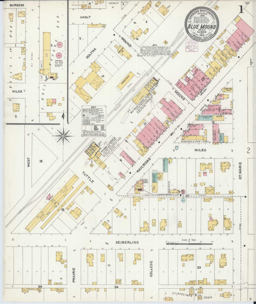 Blue Mound Illinois 1905 - Fire Insurance Index - Old Map Reprint