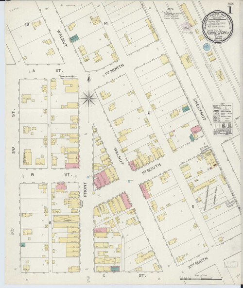 Forreston Illinois 1893 - Fire Insurance Index - Old Map Reprint