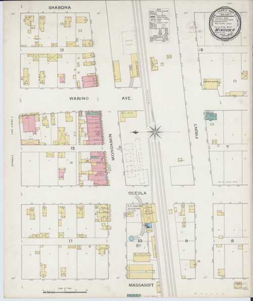 Minooka Illinois 1893 - Fire Insurance Index - Old Map Reprint