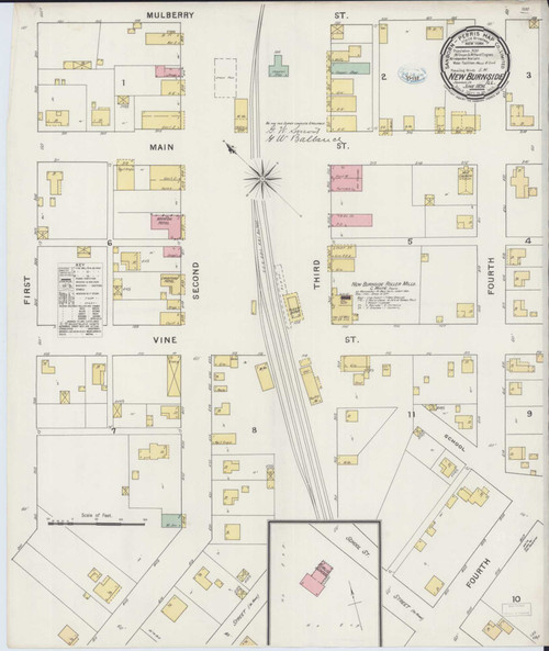 New Burnside Illinois 1894 - Fire Insurance Index - Old Map Reprint