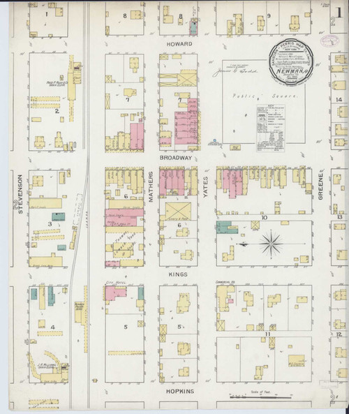Newman Illinois 1893 - Fire Insurance Index - Old Map Reprint