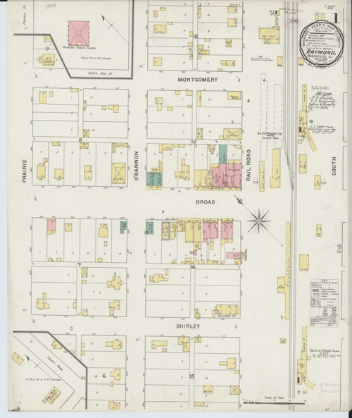 Raymond Illinois 1894 - Fire Insurance Index - Old Map Reprint