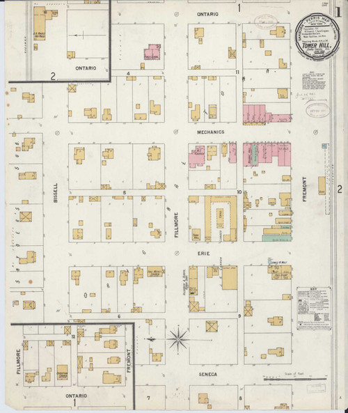 Tower Hill Illinois 1899 - Fire Insurance Index - Old Map Reprint