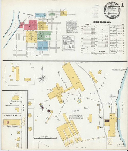 Bainbridge Georgia 1900 - Fire Insurance Index - Old Map Reprint