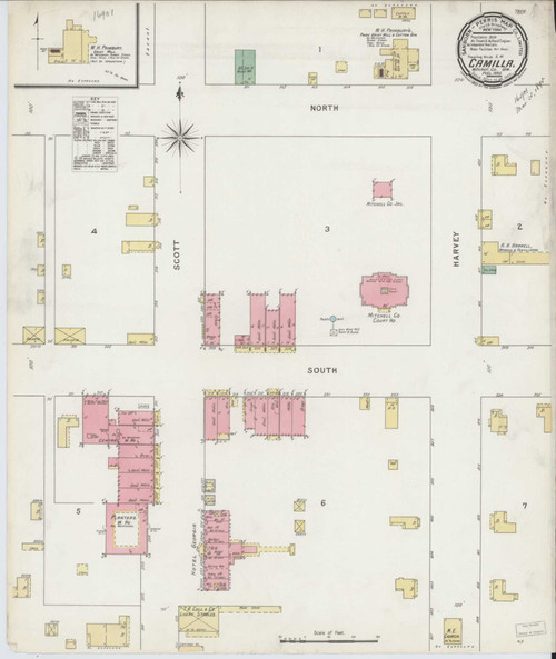Camilla Georgia 1895 - Fire Insurance Index - Old Map Reprint