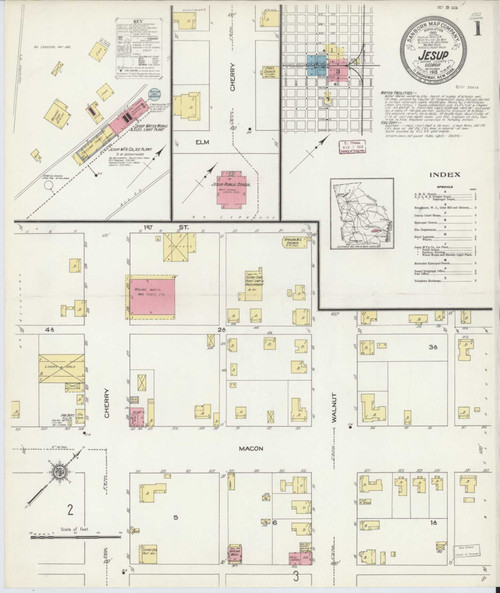 Jesup Georgia 1913 - Fire Insurance Index - Old Map Reprint
