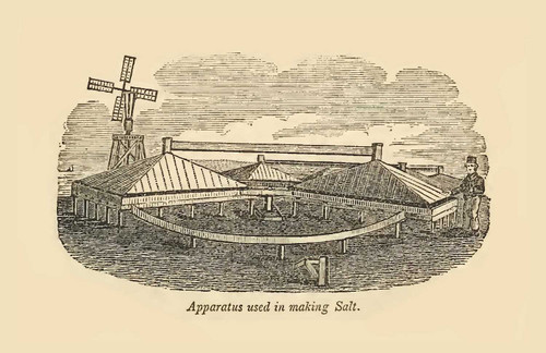 Dennis, Massachusetts 1839 - John Warner Barber Landscape View - Note Card