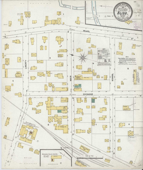Bliss New York 1905 - Fire Insurance Index - Old Map Reprint