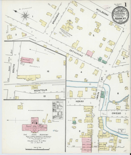 Havana New York 1891 - Fire Insurance Index - Old Map Reprint