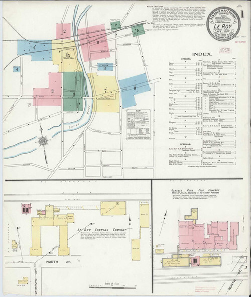 Le Roy New York 1910 - Fire Insurance Index - Old Map Reprint