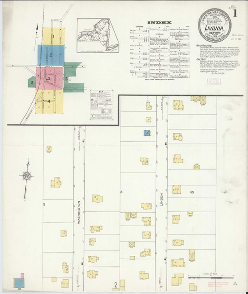 Livonia New York 1913 - Fire Insurance Index - Old Map Reprint