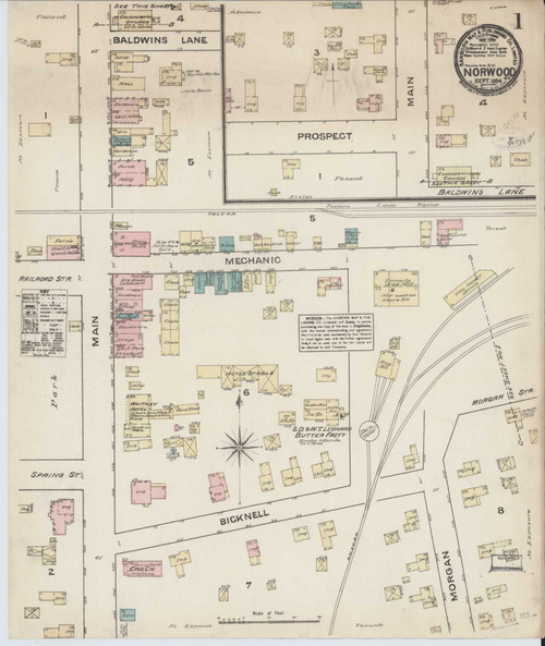 Norwood New York 1884 - Fire Insurance Index - Old Map Reprint