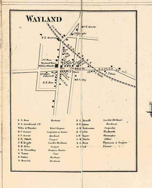 Wayland Village, Wayland, New York 1857 Old Town Map Custom Print - Steuben Co.