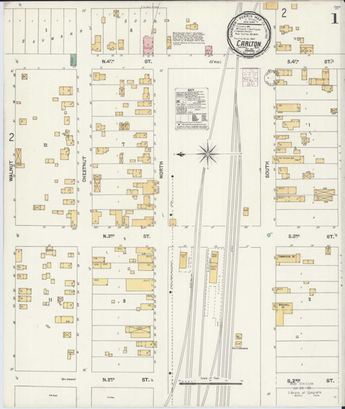 Carlton Minnesota 1901 - Fire Insurance Index - Old Map Reprint