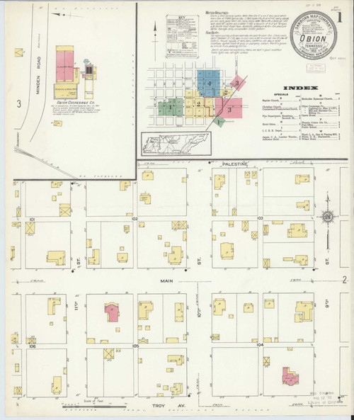 Obion Tennessee 1913 - Fire Insurance Index - Old Map Reprint