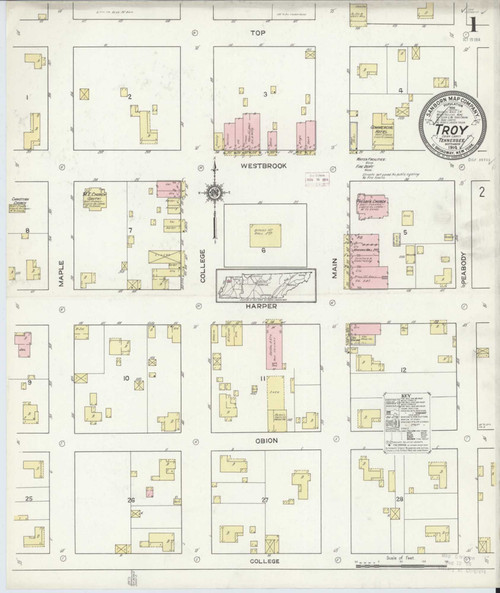 Troy Tennessee 1914 - Fire Insurance Index - Old Map Reprint