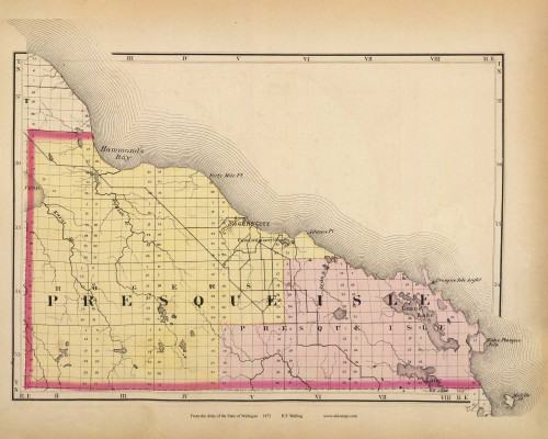 Presque Isle 53, Michigan 1873 Old Map Reprint - Walling State Atlas
