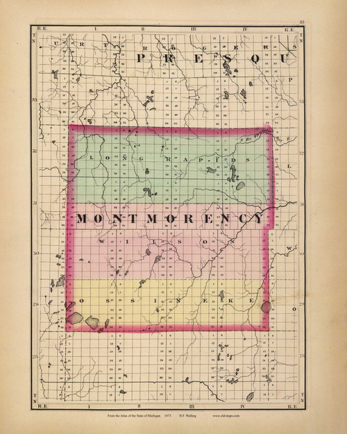 Montmorency 55, Michigan 1873 Old Map Reprint - Walling State Atlas