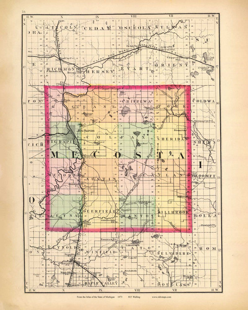 Mecosta 78, Michigan 1873 Old Map Reprint - Walling State Atlas