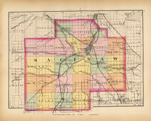 Saginaw 84, Michigan 1873 Old Map Reprint - Walling State Atlas