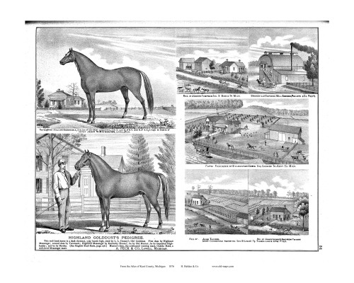 Horse Farm, Michigan 1876 Old Map Print - Kent Co. 51