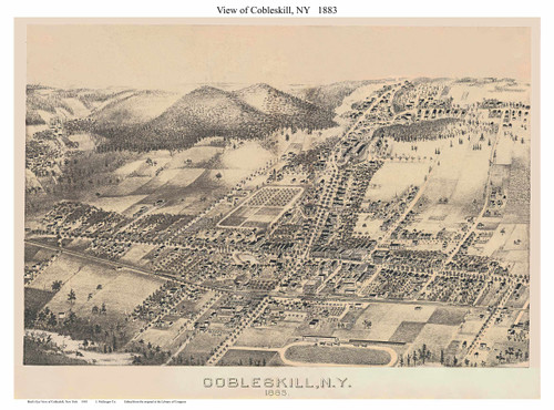 Cobleskill, New York 1883 Bird's Eye View - Old Map Reprint