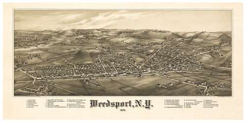 Weedsport, New York 1885 Bird's Eye View - Old Map Reprint