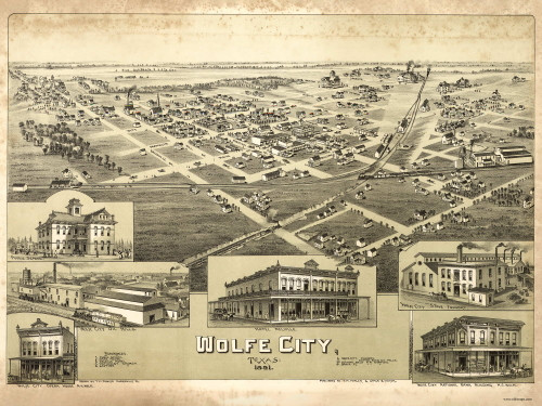 Wolfe City, Texas 1891 Bird's Eye View