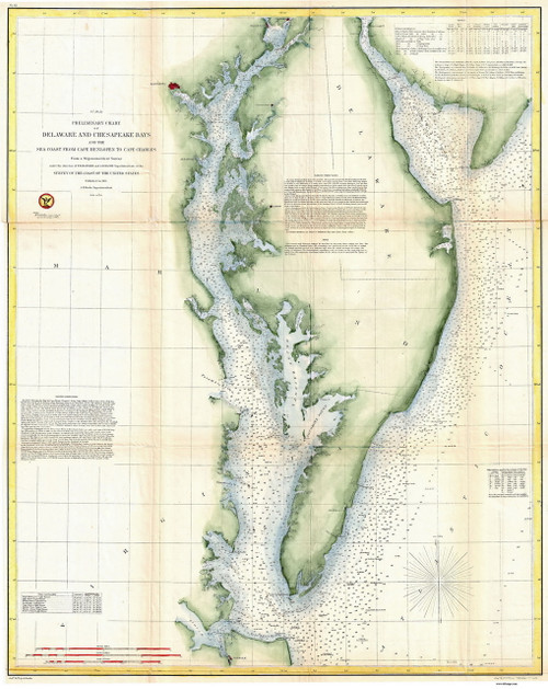 Chesapeake Bay 1855 - Preliminary Chart (Ggus) - Old Map Reprint
