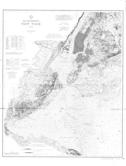 New York Harbor 1889 - Old Map Nautical Chart AC Harbors 369 - New York