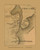 Cos Cob - Greenwich, Connecticut 1858 Fairfield Co. - Old Map Custom Print