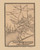 North Worcester Village, Worcester Massachusetts 1857 Old Town Map Custom Print - Worcester Co.