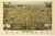 Mattoon, Illinois 1884 Bird's Eye View