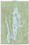 Quabbin Reservoir 2021 - Custom USGS Old Topo Map - Massachusetts