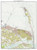 Sandy Hook 1954 - Custom USGS Old Topo Map - New Jersey 01