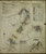 Covington Kentucky 1949 V2 - Fire Insurance Index - Old Map Reprint