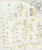Candor New York 1900 - Fire Insurance Index - Old Map Reprint