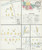 Moravia New York 1898 - Fire Insurance Index - Old Map Reprint