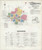 Seneca Falls New York 1916 - Fire Insurance Index - Old Map Reprint