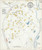 Sparkill New York 1903 - Fire Insurance Index - Old Map Reprint