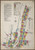 Troy New York 1903 V1 - Fire Insurance Index - Old Map Reprint