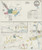 Waterville New York 1894 - Fire Insurance Index - Old Map Reprint