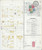 Grand Rapids Minnesota 1908 - Fire Insurance Index - Old Map Reprint