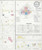 Perham Minnesota 1929 - Fire Insurance Index - Old Map Reprint