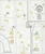 Alto Louisiana 1919 - Fire Insurance Index - Old Map Reprint