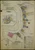 New Orleans Louisiana 1951 V7 - Fire Insurance Index - Old Map Reprint