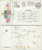 West Monroe Louisiana 1920 - Fire Insurance Index - Old Map Reprint