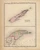Isle Royale & Keweenaw 118, Michigan 1873 Old Map Reprint - Walling State Atlas